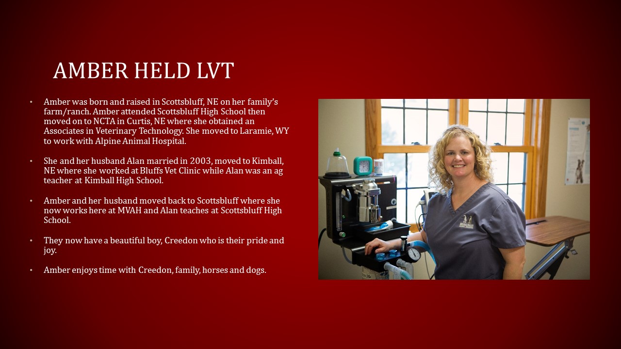 Our Team - MITCHELL VALLEY ANIMAL HOSPITAL
